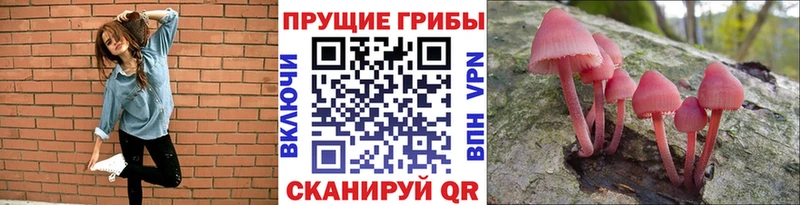 Купить закладки Фёдоровский Галлюциногенные грибы Magic Shrooms